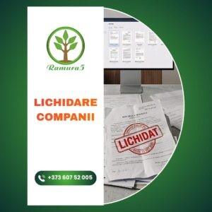 Lichidare Companii în Chișinău | Radiere SRL – Ramuracinci.md